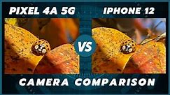 Google Pixel 4a 5G vs iPhone 12/iPhone 12 mini Camera Comparison
