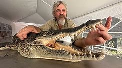 Saltwater crocodile in Wangi Falls attack caught and killed, as victim remains in hospital