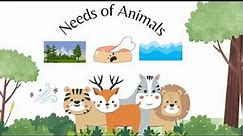 Needs of animals for kids. The basic needs of animals to live and survive. kids educational video