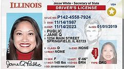 Looking to get a REAL ID? You'll soon need an appointment to do so in Illinois