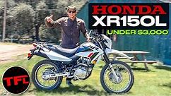 Trail-Ready Dual Sport for Under $3,000! 2023 Honda XR150L First Ride and Review