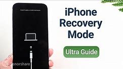 iPhone Recovery Mode: Put iPhone in or Get Out of Recovery Mode [Ultra Guide]