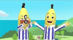 The Bananas Become Photographers! | Bananas in Pyjamas Season 1 | Full Episodes | Bananas In Pyjamas