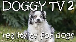 Dog TV 2 - Reality TV for Dogs