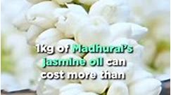 Did you know that 1kg of Madhurai’s jasmine oil can cost more than ₹4,00,000? 😱 Watch this video to know why is Madurai's jasmine oil so expensive >> #JasmineOil #ExpensiveScent #Madurai [Jasmine Oil, Madurai] | TheBetterIndia