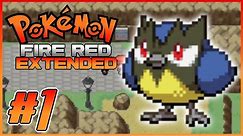 Best Rom Hack - Pokemon Fire Red Extended - Gameplay Walkthrough Part 1