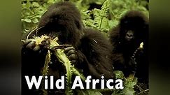 Wild Africa Season 1 Episode 1