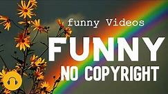 NO COPYRIGHT BACKGROUND MUSIC (BEST FOR FUNNY BACKGROUND MUSIC, COMEDY, AND MEME SOUND EFFECTS)