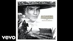Alejandro Fernández - A Qué Sabe El Olvido (Audio Oficial)