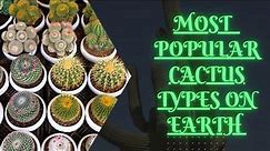 Most Popular Cactus Types on Earth / Cactus Plants / AgroStar