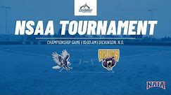 NSAA Softball: Championship - Dickinson St vs Bellevue