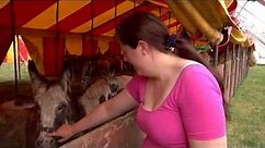 Animal circuses under threat