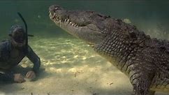 Swimming With Wild Crocodiles! | FULL DOCUMENTARY