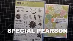 special pearson