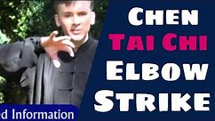 Chen Tai Chi Chuan DVD Elbow Strike (Zhou 肘) Teaching Commentary