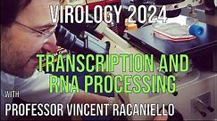 Virology Lectures 2024 #7: Transcription and RNA processing