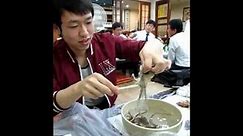 Korean eating living Octopus: San Nakji (산낙지)