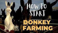 How To Start Donkey Farming