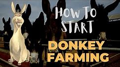 How To Start Donkey Farming