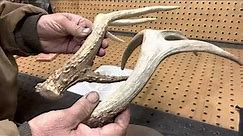 Hand forging a hunting knife with deer antler handle