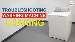 Washing Machine Leaking - TOP 6 Reasons & Fixes - LG, Samsung & others