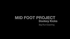 Donkey Kicks