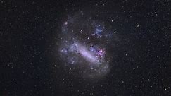 Large Magellanic Cloud: Nearby Satellite Dwarf Galaxy