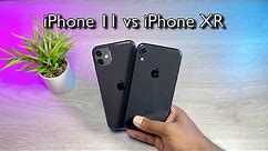 iPhone XR vs iPhone 11 COMPARACIÓN COMPLETA EN 2024 ¿cuáles son sus DIFERENCIAS? - RUBEN TECH !