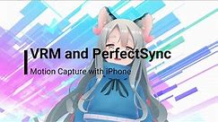 What is VRM and PerfectSync?