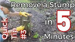 Quick Tip #3 - Visually remove a Tree Stump in 5 Minutes