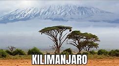 Kilimanjaro Conquer the Roof of Africa