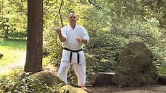 Sanchin Kata (YMAA) Karate "Three Battles Form" Kris Wilder