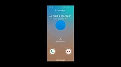 Samsung Galaxy S10 Incoming Call (Screen Video)