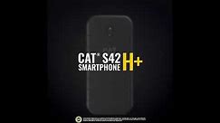 The World's First Antibacterial Smartphone - CAT S42 H+