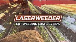 Cut Weeding Costs by 80%