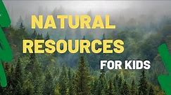 10 Amazing Facts About Natural Resources for Kids