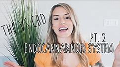 THC vs CBD: Your Endocannabinoid System (Part 2)