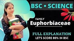 Euphorbiaceae family || BSC Botany||Important family 🤯|| #sciencewaali