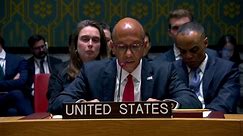 US blocks UN Security Council's call for Gaza humanitarian ceasefire