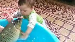 Life - Very Funny: Baby kissing a fish :D