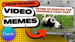 How to Create Your Own VIDEO MEMES Easily in Canva