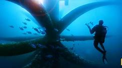360°: Dive Through an Oil Rig Ecosystem