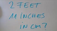2 feet and 11 inches in cm?