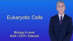 A Level Biology Revision "Eukaryotic Cells".
