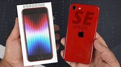iPhone SE 3 (Project Red): Unboxing & First Impressions!