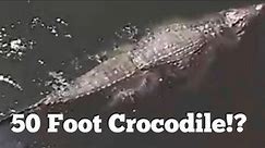 50 Foot Crocodiles Sighted at Sea