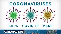 Coronavirus: What does COVID-19 do to your body and why does it spread so easily?