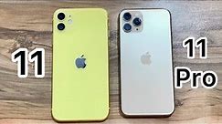 iPhone 11 vs iPhone 11 Pro in 2023 / iOS 17.1