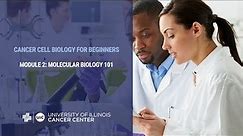#2 Molecular Biology 101 - Cancer Cell Biology For Beginners