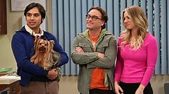 The Big Bang Theory Season 7 Episode 15 The Locomotive Manipulation
